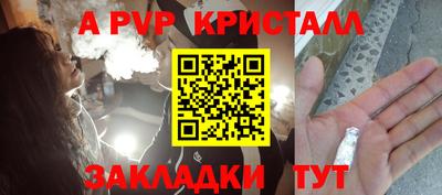 прущие грибы Тверь