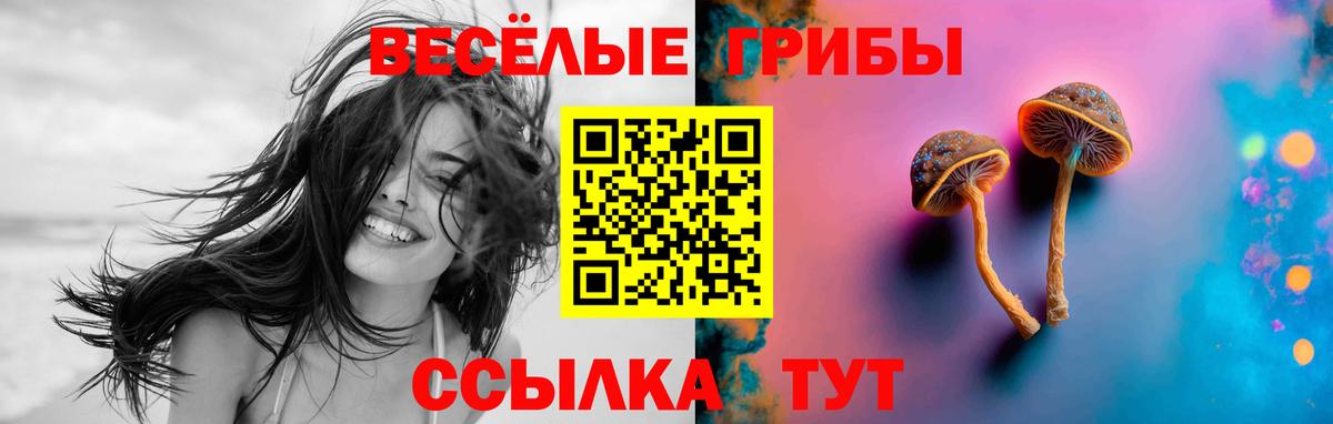Псилоцибиновые грибы мицелий  Вход с VPN  Галлюциногенные грибы MAGIC MUSHROOMS  Нижний Новгород 